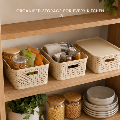 PEARLPET Everyday Basket Pack of 3 with Lid – Smart organisation for every corner of your home