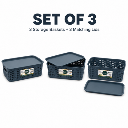 PEARLPET Everyday Basket Pack of 3 with Lid – Smart organisation for every corner of your home
