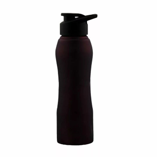 PROCASA 750 ml, Stainless Steel, Sportskool Slim 15/1 Steel Water Bottle